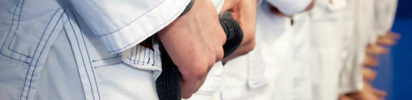 Team Raines Brazilian Jiu-Jitsu